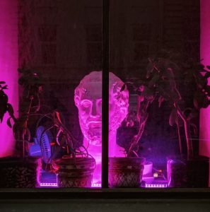 фиолетовая подсветка для роста цветов